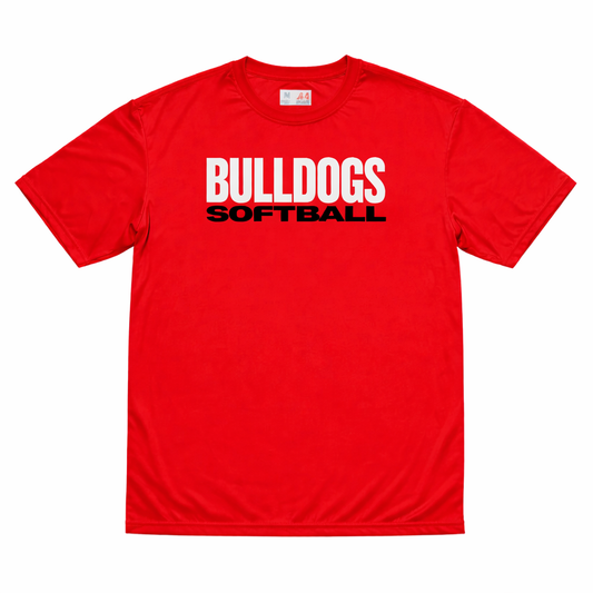Dri-Fit Softball Tee